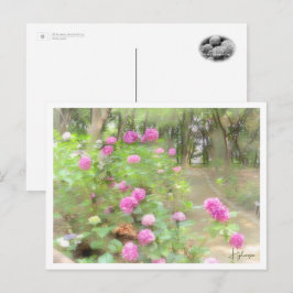 Hydrangea Postkarte
