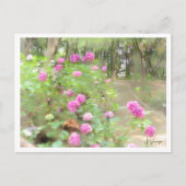 Hydrangea Postkarte (Vorderseite)