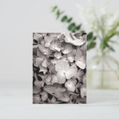 Hydrangea Postkarte (Stehend Vorderseite)