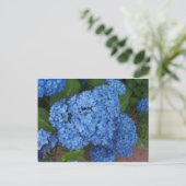 Hydrangea Postkarte (Stehend Vorderseite)