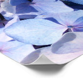 Hydrangea Print Poster (Ecke)