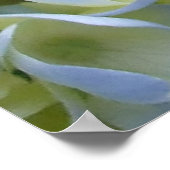 Hydrangea Print Poster (Ecke)
