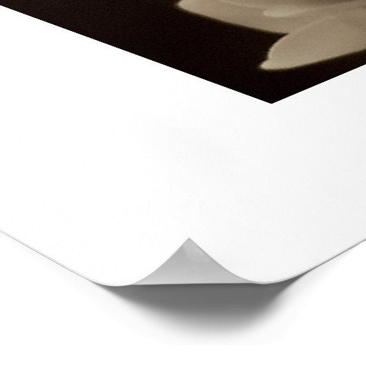 Hydrangea - Print Poster (Ecke)