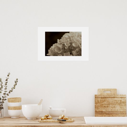 Hydrangea - Print Poster (Küche)