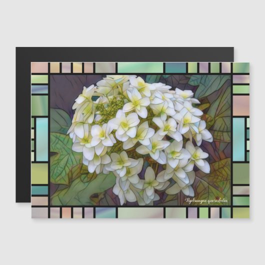 Hydrangea quercifolia [Magnet Card] Magnetkarte (Vorne/Hinten)