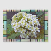 Hydrangea quercifolia [Magnet Card] Magnetkarte (Vorderseite)
