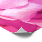 Hydrangea Rainbow Poster (Ecke)