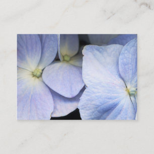 Hydrangea-Reflexions-Geschäft Card2 - besonders Visitenkarte