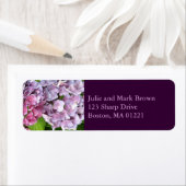 Hydrangea-Rücksendeadresse (Insitu)