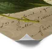 Hydrangea-Schmetterlingskrone französisches Land Poster (Ecke)