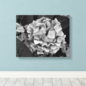 Hydrangea, Schwarz-Weiß-Wandkunst Leinwanddruck (Insitu (Holzboden))