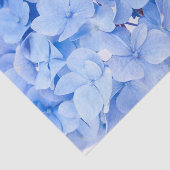 Hydrangea Seidenpapier (Ausschnitt)