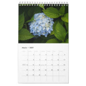 Hydrangea Single Page Kalender (Mär 2027)
