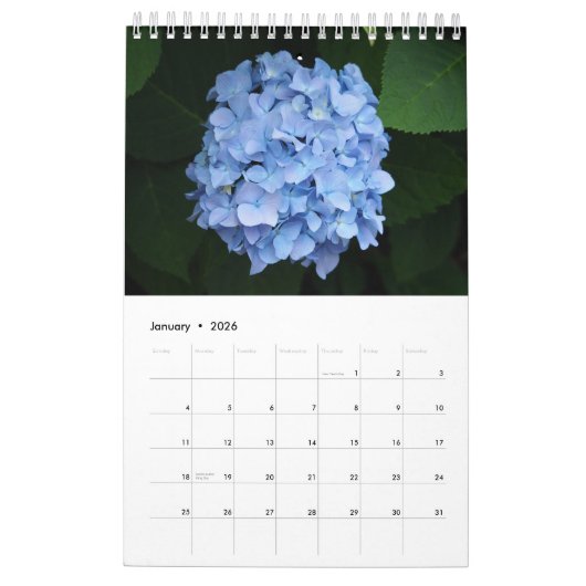 Hydrangea Single Page Kalender (Jan 2026)