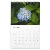 Hydrangea Single Page Kalender (Mär 2026)