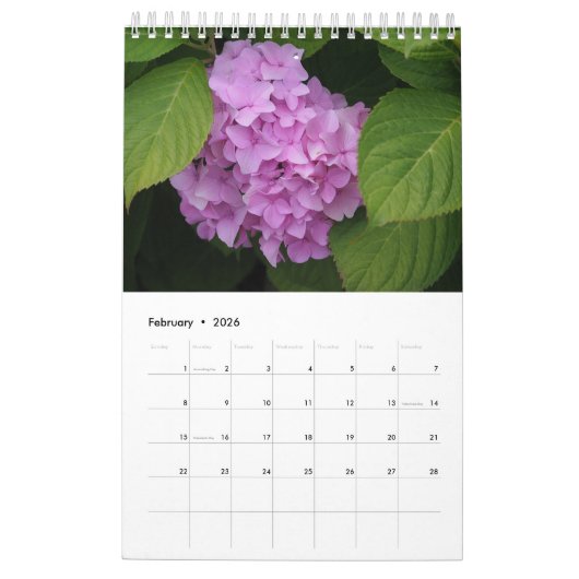 Hydrangea Single Page Kalender (Feb 2026)