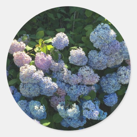 Hydrangea-Sticker-Umschlag Aufkleber (Vorderseite)