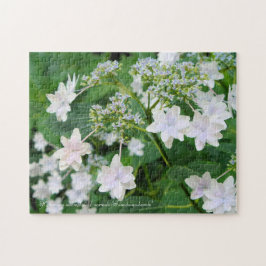 Hydrangea 'Sumida-no-hanabi' [Jigsaw puzzle: 252P] Puzzle