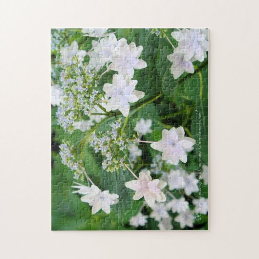 Hydrangea 'Sumida-no-hanabi' [Jigsaw puzzle: 252P] Puzzle (Vertikal)