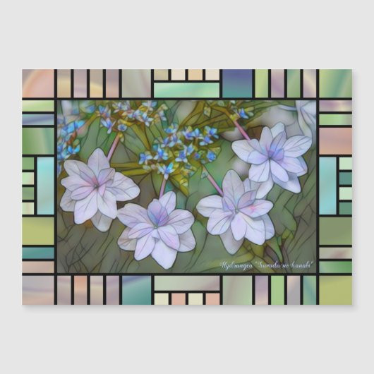 Hydrangea 'Sumida-no-hanabi'  [Magnet Card] Magnetkarte (Vorderseite)