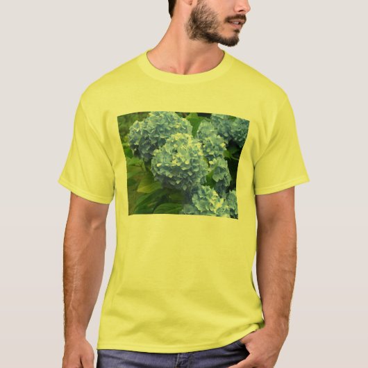 Hydrangea-T - Shirt (Vorderseite)