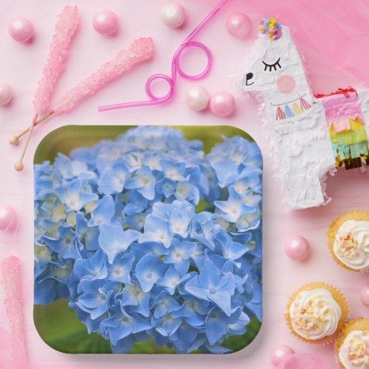 Hydrangea Tellers Party Pappteller (Party)