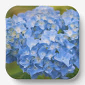 Hydrangea Tellers Party Pappteller (Vorderseite)