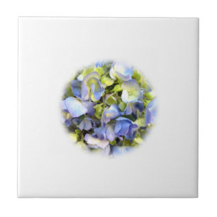 Hydrangea Tile Fliese