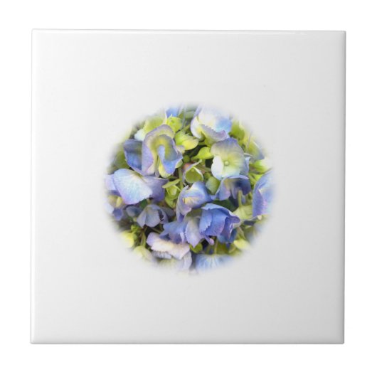 Hydrangea Tile Fliese (Vorderseite)