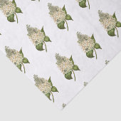 Hydrangea-Tissue Seidenpapier (Ausschnitt)