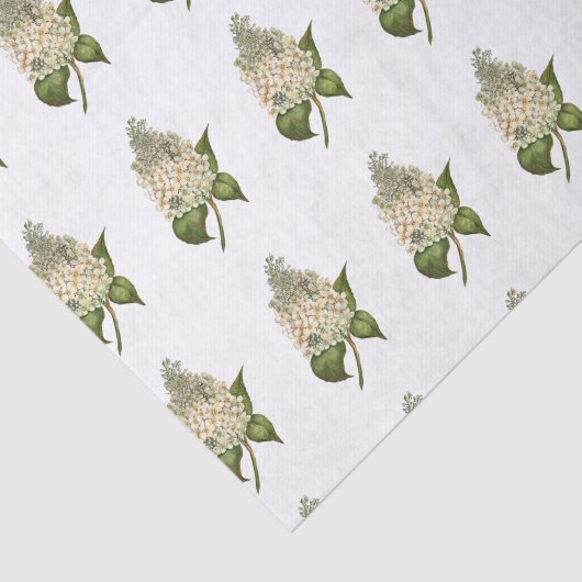 Hydrangea-Tissue Seidenpapier (Ausschnitt)