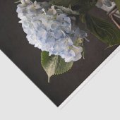 Hydrangea-Tissue Seidenpapier (Ausschnitt)