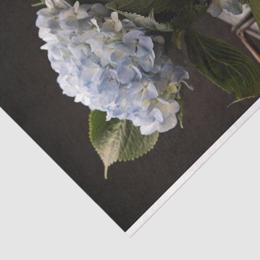 Hydrangea-Tissue Seidenpapier (Ausschnitt)