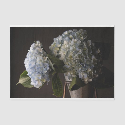 Hydrangea-Tissue Seidenpapier (Vorderseite)