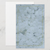 Hydrangea u. Frucht der Geist-Creme stationäres B Briefpapier (Vorne/Hinten)