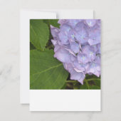 Hydrangea-UAWG-Antwortkarte RSVP Karte (Rückseite)