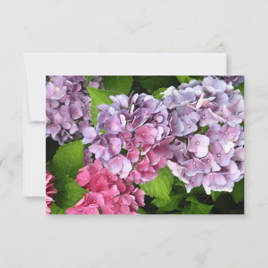 Hydrangea UAWG Karte (Rückseite)
