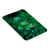 Hydrangea und Horseradish Floral Art Black & Green Magnet (Rechte Seite)