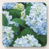 Hydrangea Untersetzer Set (Vorderseite)