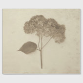 Hydrangea Vintag Antique Sepia Rustikale Flora Geschenkpapier (Flach)