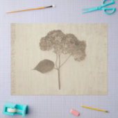 Hydrangea Vintag Antique Sepia Rustikale Flora Seidenpapier (Basteln)