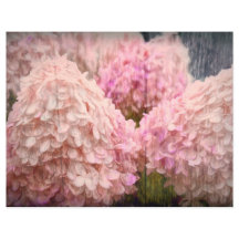 Hydrangea Vintag Blush Pink Blumenholz Decoupage