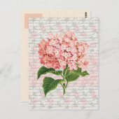 Hydrangea Vintag Dream Postkarte (Vorne/Hinten)