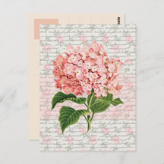 Hydrangea Vintag Dream Postkarte (Vorne/Hinten)