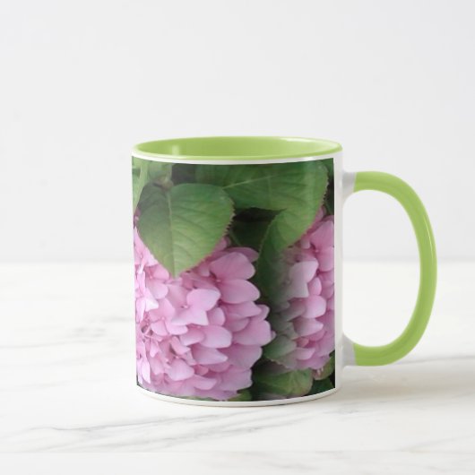 Hydrangea von der Balboa-Insel in Lila und in Tasse (Rechts)