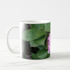 Hydrangea von der Balboa-Insel in Lila und in Tasse