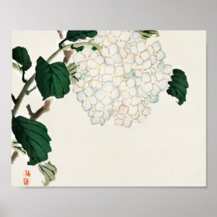 Hydrangea von Kōno Bairei Poster