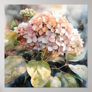 Hydrangea Wasserfarben Kunst drucken Poster