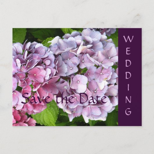 Hydrangea Wedding Save the Date Postcard Ankündigungspostkarte (Vorderseite)