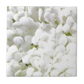 Hydrangea Weiße Blumenmuster Fliese (Vorderseite)